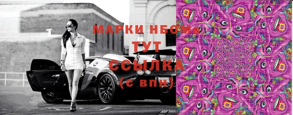 соль ск Бородино