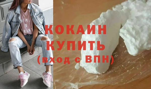 соль ск Бородино