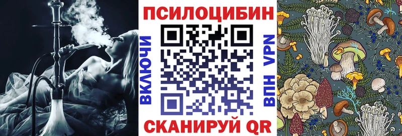 Галлюциногенные грибы прущие грибы  Купить  Пойковский 